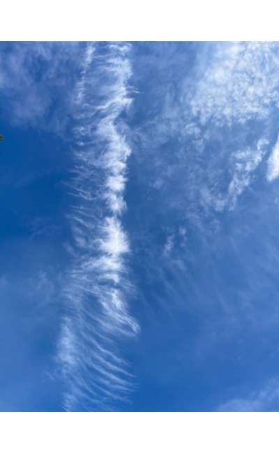 Image de couverture de SO WHAT