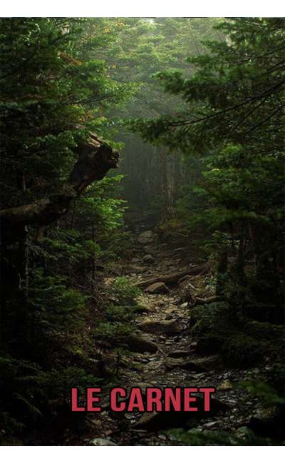 Image de couverture de Le carnet