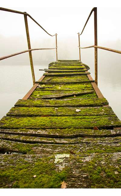 Image de couverture de La ville idéale