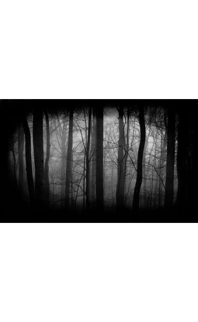 Image de couverture de Nocturne