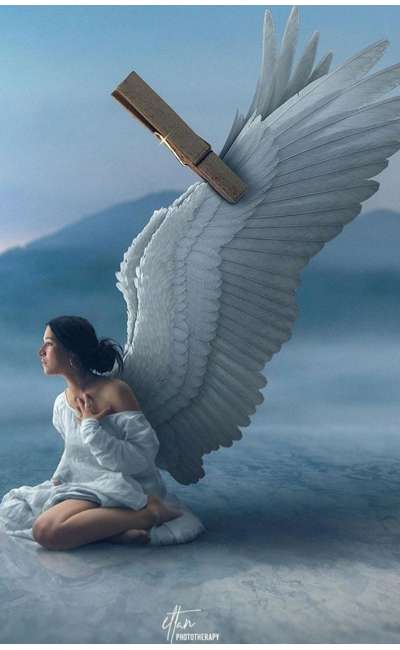 Image de couverture de Mes ailes sont attachées