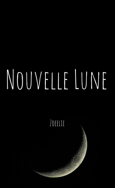 Image de couverture de Nouvelle Lune
