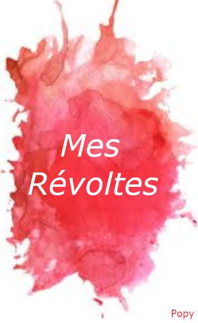 Image de couverture de Mes révoltes