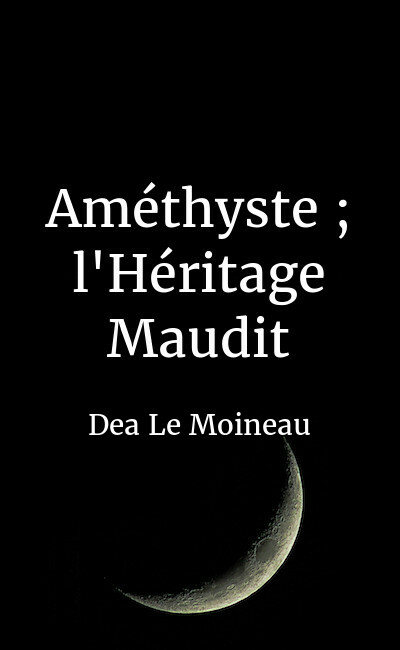 Image de couverture de Améthyste : l'Héritage Maudit