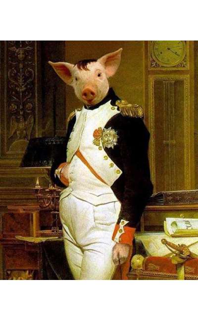 Image de couverture de [Atelier Scribopolis N°4] Le Bal des Cochons Dindes