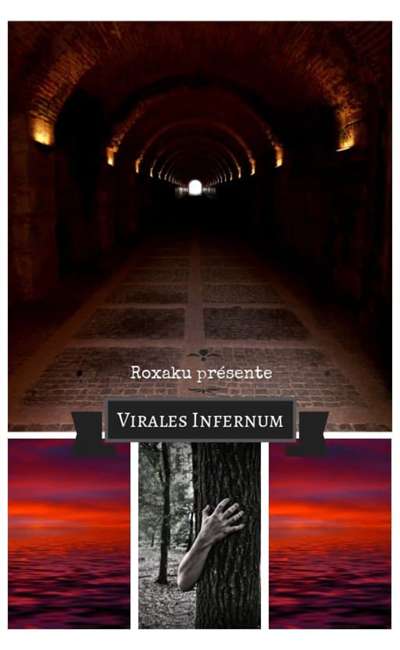 Image de couverture de Virales Infernum