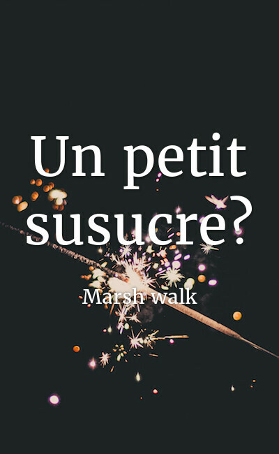 Image de couverture de Un petit susucre?