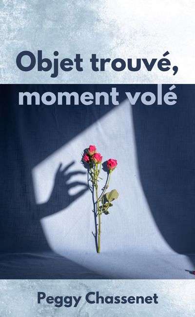Image de couverture de Objet trouvé, moment volé