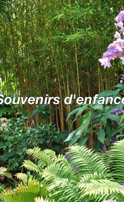Image de couverture de Souvenirs d'enfance
