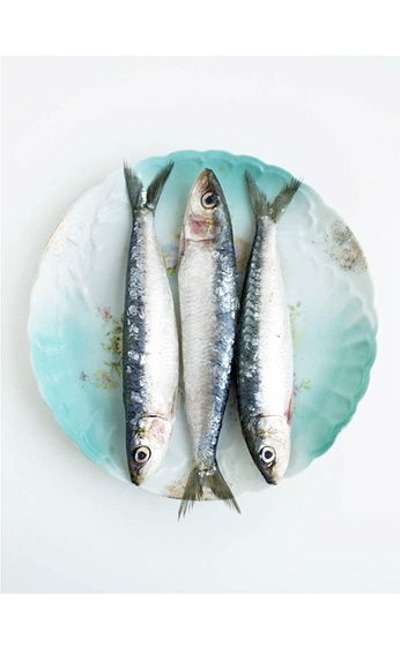 Image de couverture de La Sardine