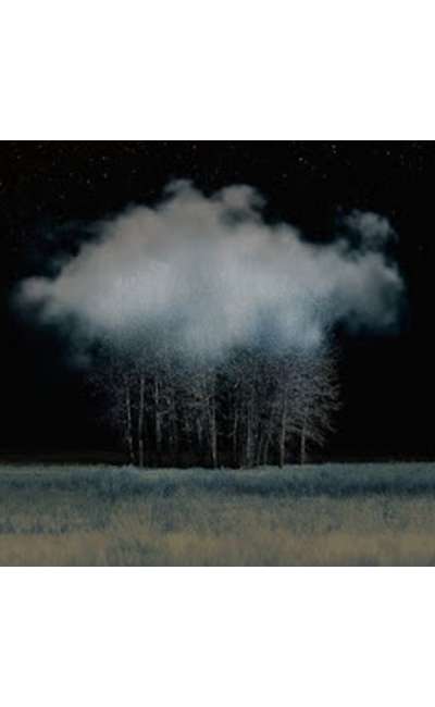 Image de couverture de Le nuage dans l’arbre