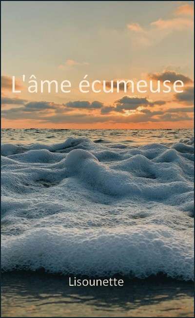 Image de couverture de L'âme écumeuse