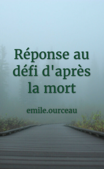 Image de couverture de Réponse au défi d'après la mort