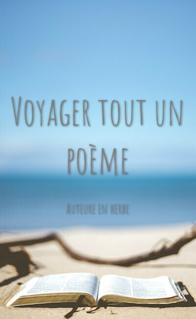 Image de couverture de Voyager tout un poème