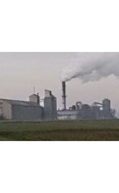 Image de couverture de La pétacrise