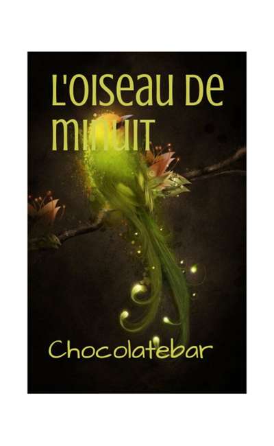 Image de couverture de L'oiseau de minuit