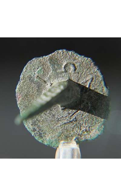 Image de couverture de Sacré clou !