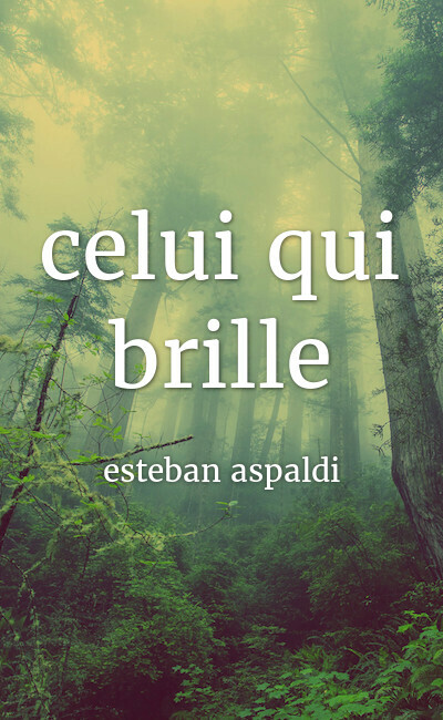Image de couverture de celui qui brille