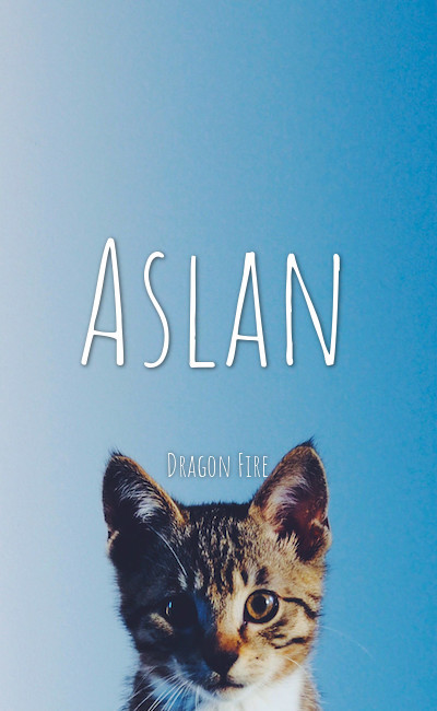 Image de couverture de Hybrides Tome 1 : Aslan