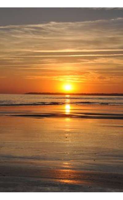 Image de couverture de L'Aube Sylvestre