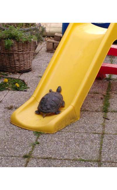 Image de couverture de hauts les cœurs !