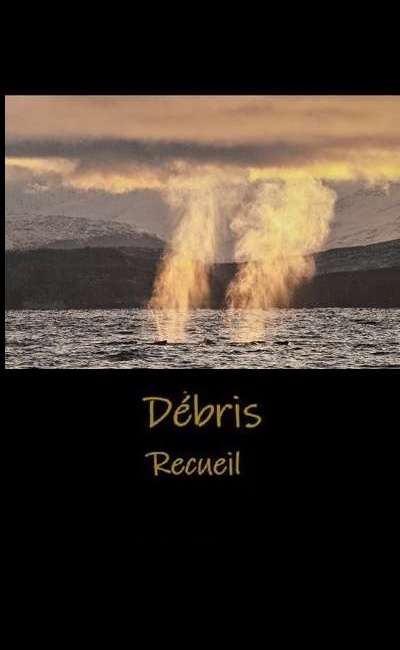 Image de couverture de Débris