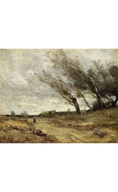 Image de couverture de Haïkus sur la pluie et le beau temps