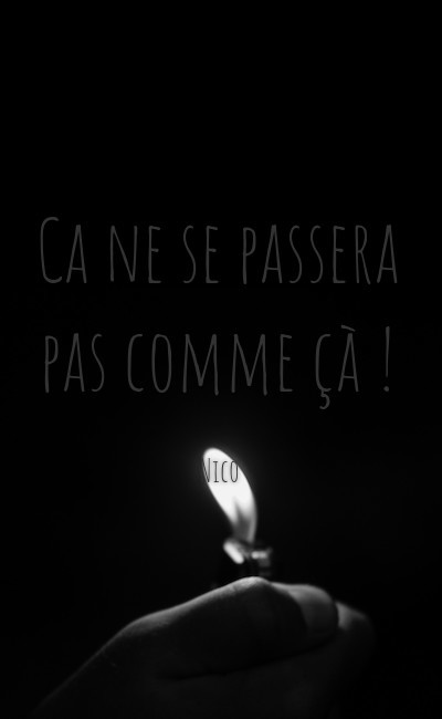 Image de couverture de Ca ne se passera pas comme çà !