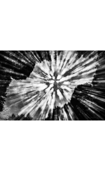 Image de couverture de (One-Shot) Fêlure : La bête au Kemris Noire