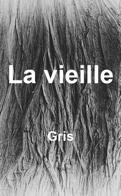 Image de couverture de La vieille