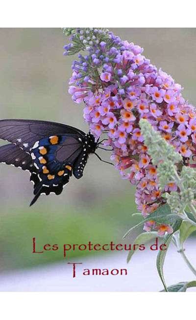 Image de couverture de Les protecteurs de Tamaon