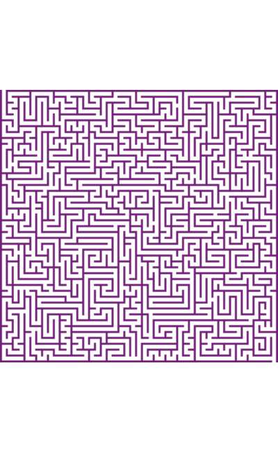 Image de couverture de Parcours labyrinthique