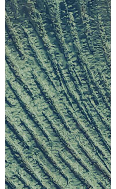 Image de couverture de 14