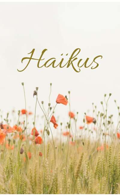 Image de couverture de Haïkus