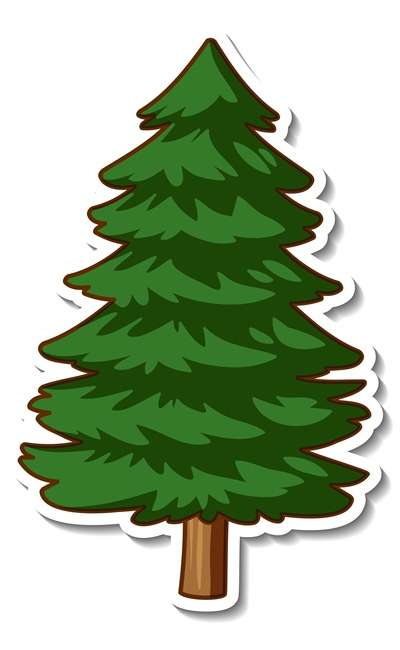 Image de couverture de Des zigzags pour Noël