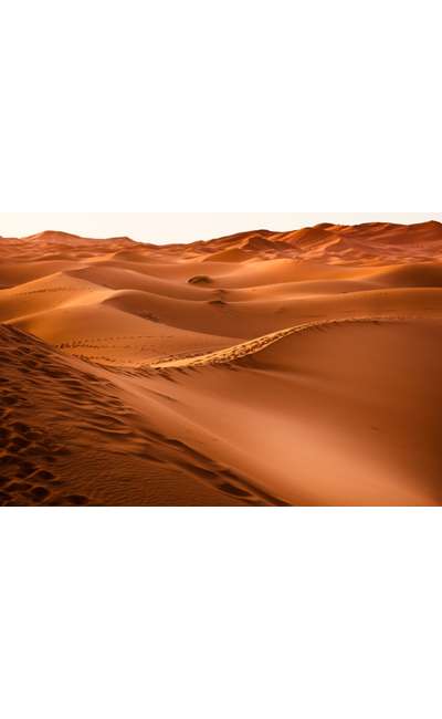 Image de couverture de Sous le sable, le bonheur