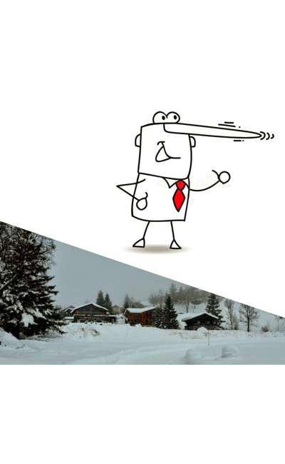 Image de couverture de Les menteurs et tout le tremblement !