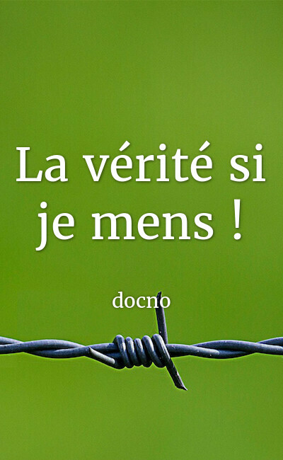 Image de couverture de La vérité si je mens !