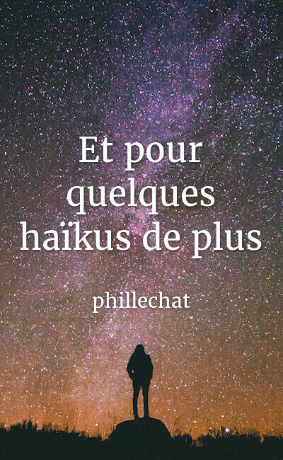 Image de couverture de Et pour quelques haïkus de plus