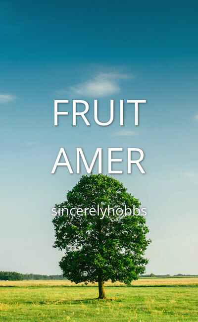 Image de couverture de FRUIT AMER