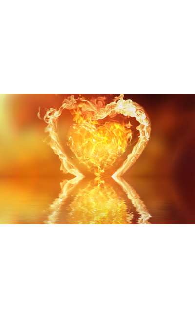 Image de couverture de L'amour nous chasse.