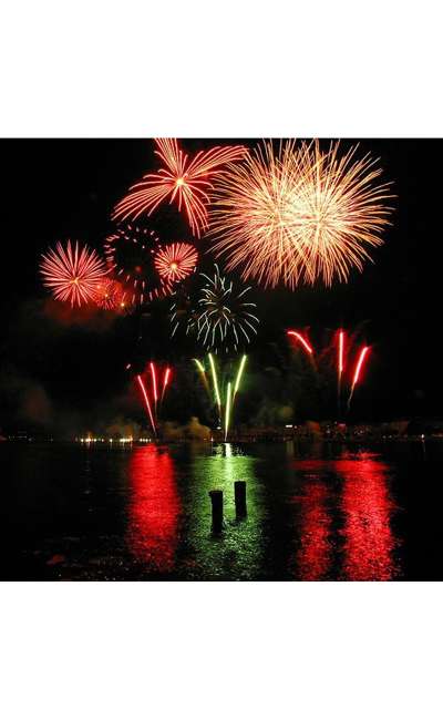 Image de couverture de L'artificier