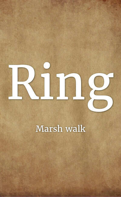 Image de couverture de Ring