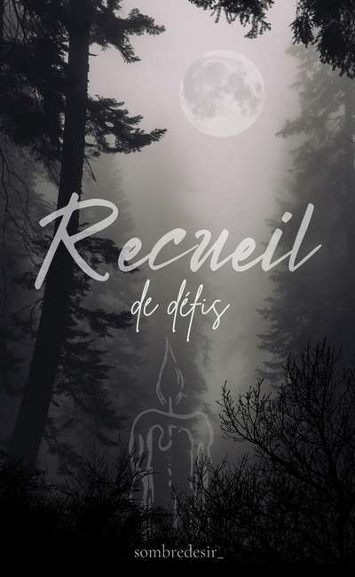 Image de couverture de Recueil de défis