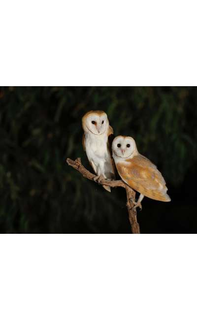 Image de couverture de 2,2 secondes