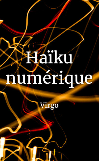 Image de couverture de Haïku numérique