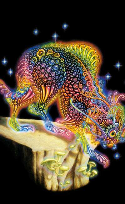 Image de couverture de Les enchanteresses