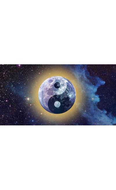 Image de couverture de Notre Monde la réalité