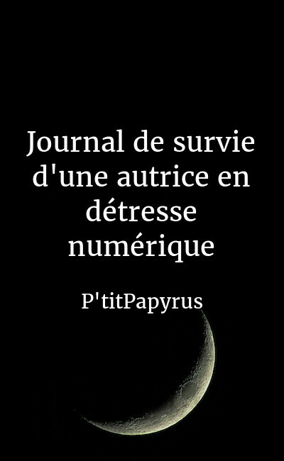 Image de couverture de Journal de survie d'une autrice en détresse numérique