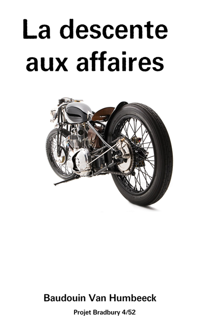 Image de couverture de La descente aux affaires